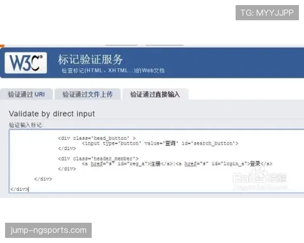 干扰球国际规则差异的判定标准解析